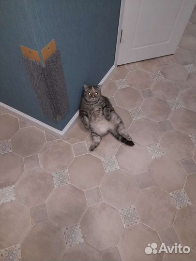 Ремонт и строительство