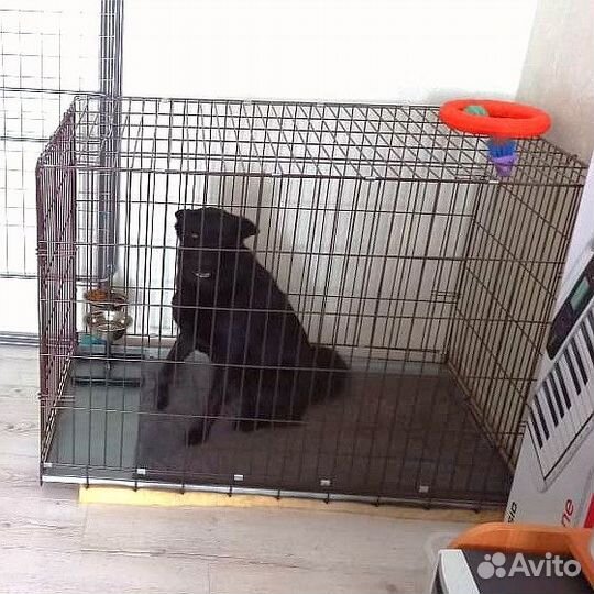 Вольер / клетка для собак в квартиру 120/79/83