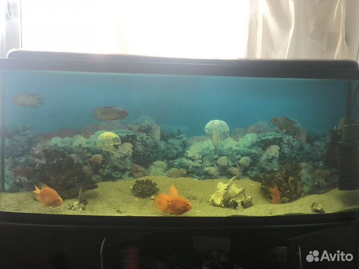 Аквариум с тумбой 400 литров
