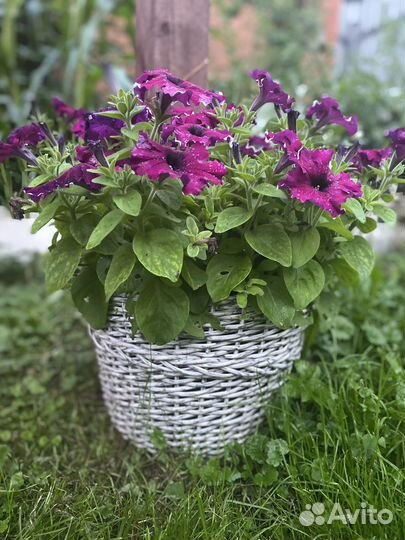 Кашпо из искусственного ротанга