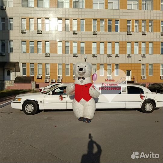 Ростовая кукла, Экспресс Поздравления