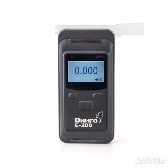 Динго E-200 (В) с принтером и слотом для SD карты