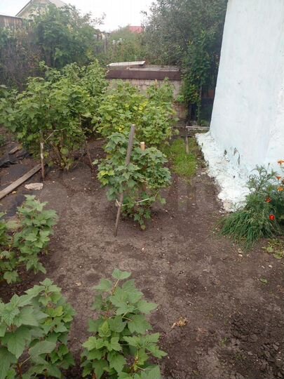 Дача 45 м² на участке 4 сот.