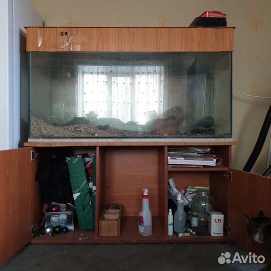 Аквариум