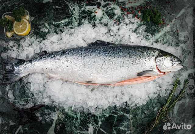 Лосось охлажденный