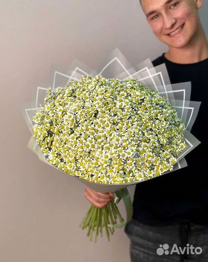 Букеты. Доставка ромашек