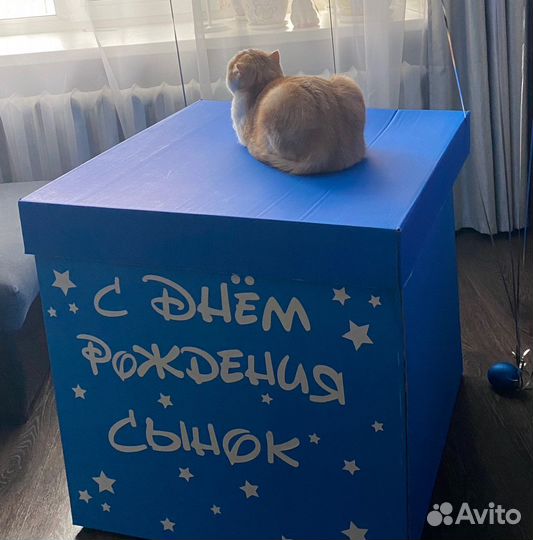 Коробка подарочная