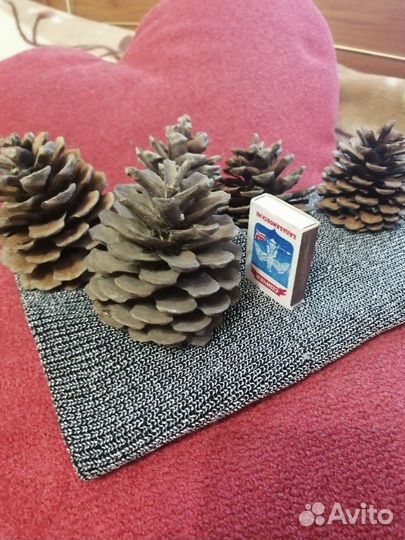 Шишки разные