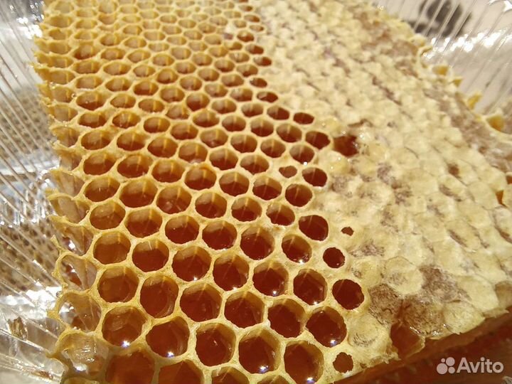 Разнотравье и гречишный мед