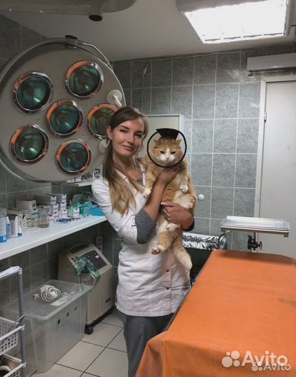 Ветеринарный врач с выездом