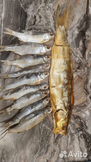 Астраханская вобла, чехонь, тарань, балыки