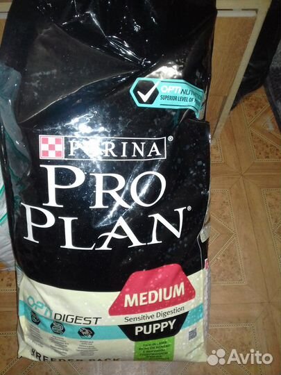 Корм для собак