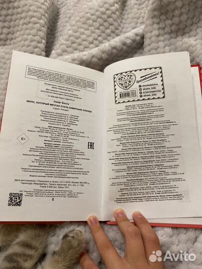 Мопс который мечтал стать северным оленем