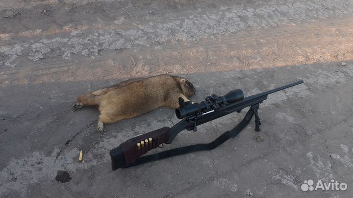 Жир сурка Жир барсука