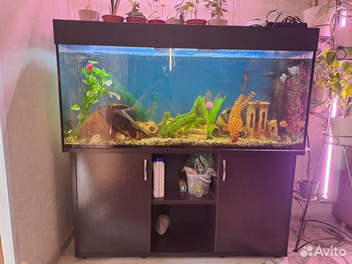Аквариум с тумбой и рыбами