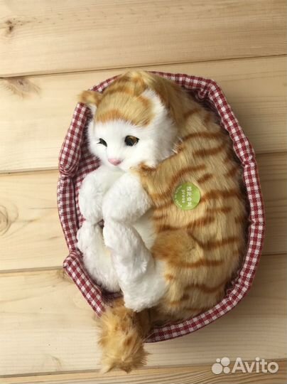 Кот со звуком