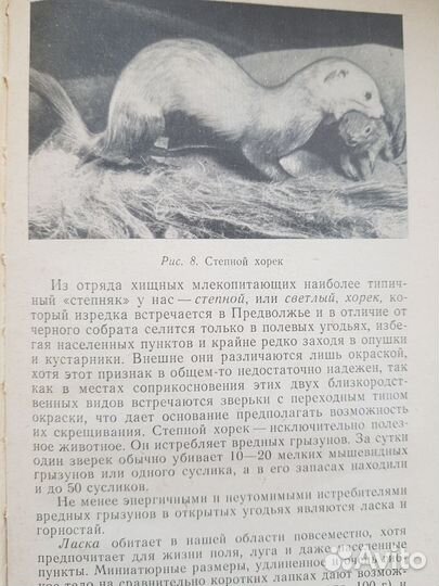 Природа Горьковской области