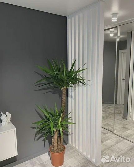 Из Шпона Реечные перегородки