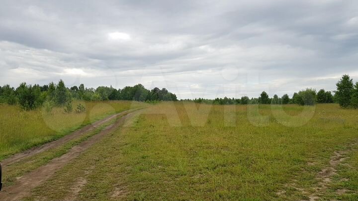 Участок 25,6 га (СНТ, ДНП)