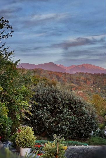 Участок 16 сот. (ИЖС)