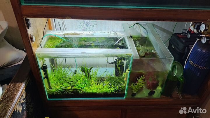 Аквариум с рыбками