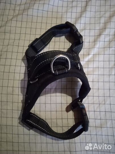 Шлейка для собаки