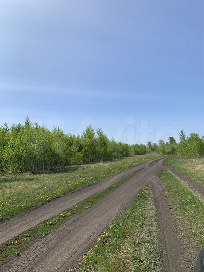 Участок 12,5 сот. (ИЖС)