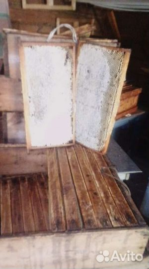 Мёд, соты. по городу доставка, бесплатная