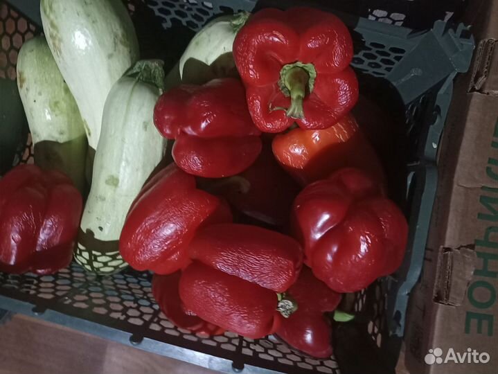 Овощи фрукты