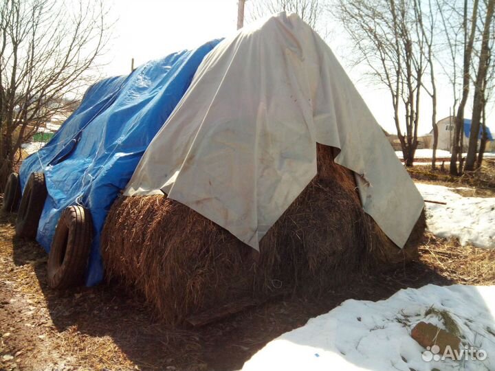 Продам сено в рулонах