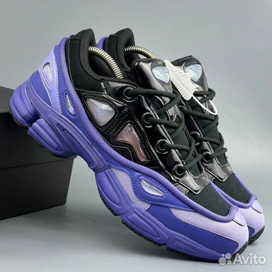 Adidas Raf Simons Purple