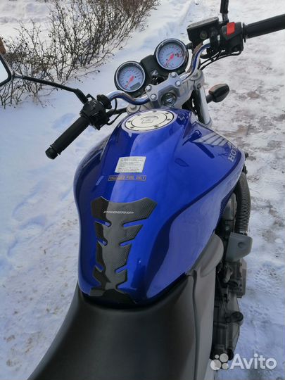 Honda CB600 hornet