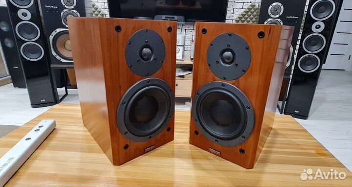 Dynaudio Focus 140 + Видео