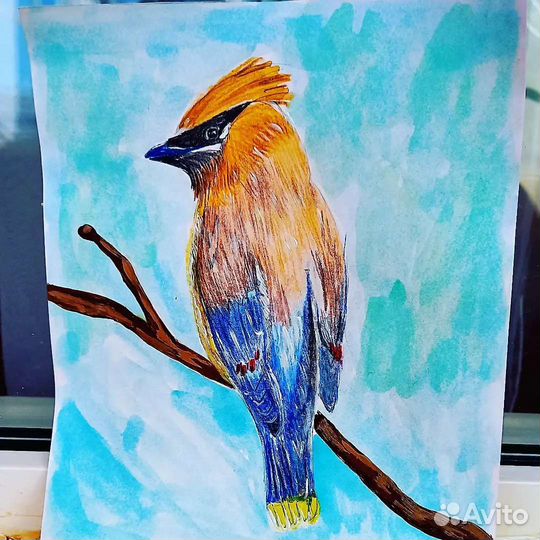 Рисунки акварелью