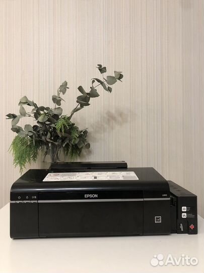 Принтер epson l800