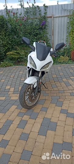 Yamasaki Scorpion 3