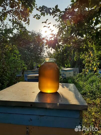 Татарский мед