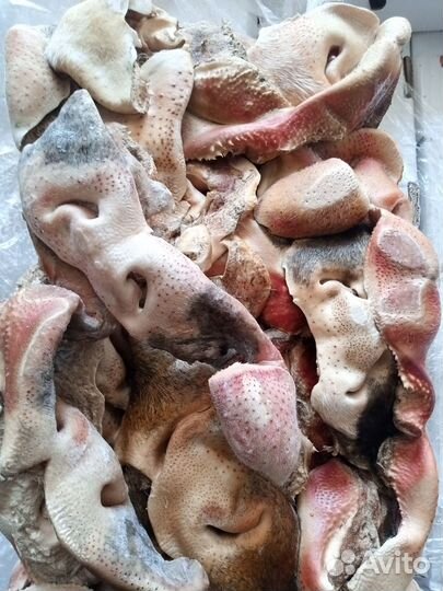 Мясо для собак