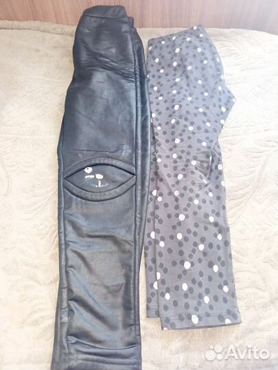 Отдам бесплатно