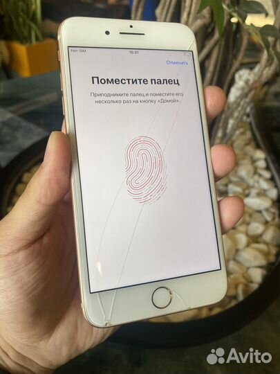 iPhone 8 Plus, 64 ГБ