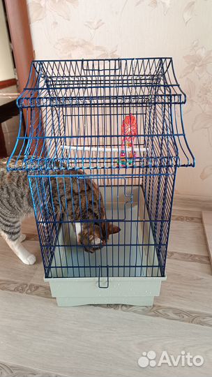 Клетка для попугая корелла