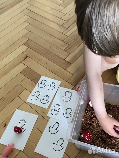 Педагог раннего развития