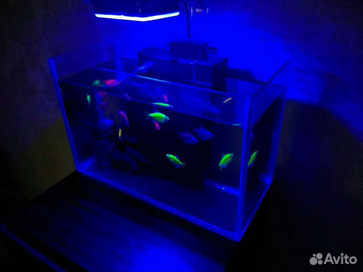 Фильтр Барбус комплекс био