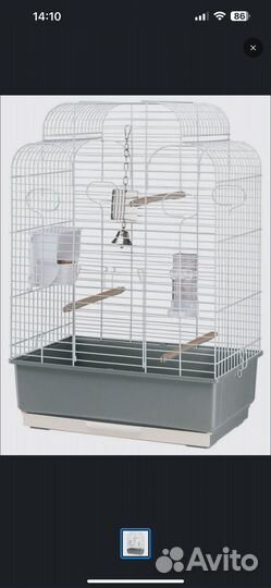 Клетка для птиц ferplast gala для средних попугаев