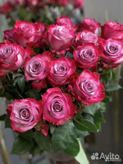 Цветы розы и букеты с доставкой