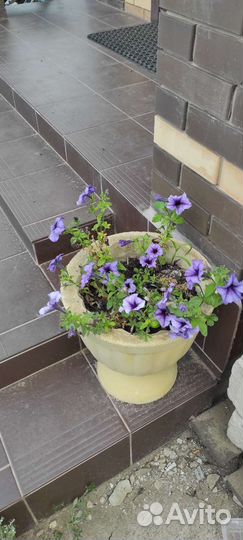 Горшок для цветов уличный бетонный, Ваза, Вазон