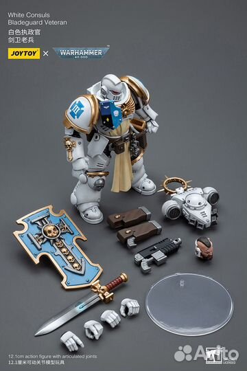 Warhammer40K joytoy White Consuls BG Veteran