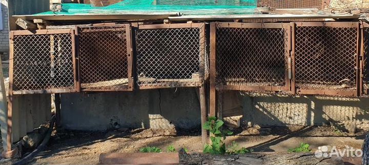 Железные клетки для нутрий, кроликов, птицы