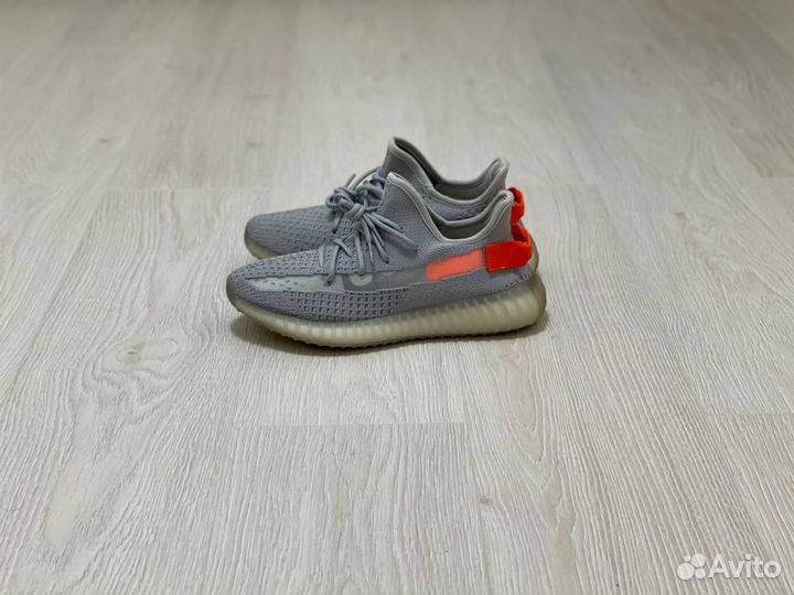 Кроссовки Adidas Yeezy Boost 350 v2 Tail Light