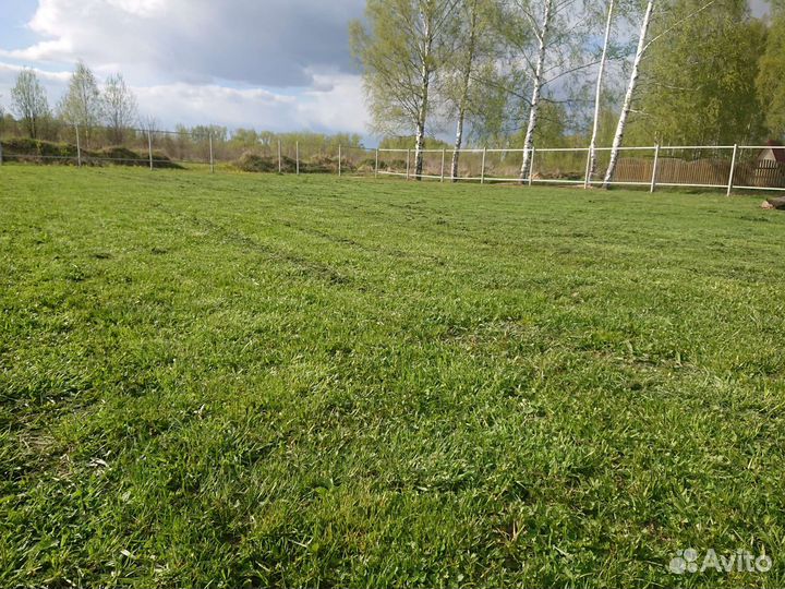 Покос травы триммером, газонокосилкой